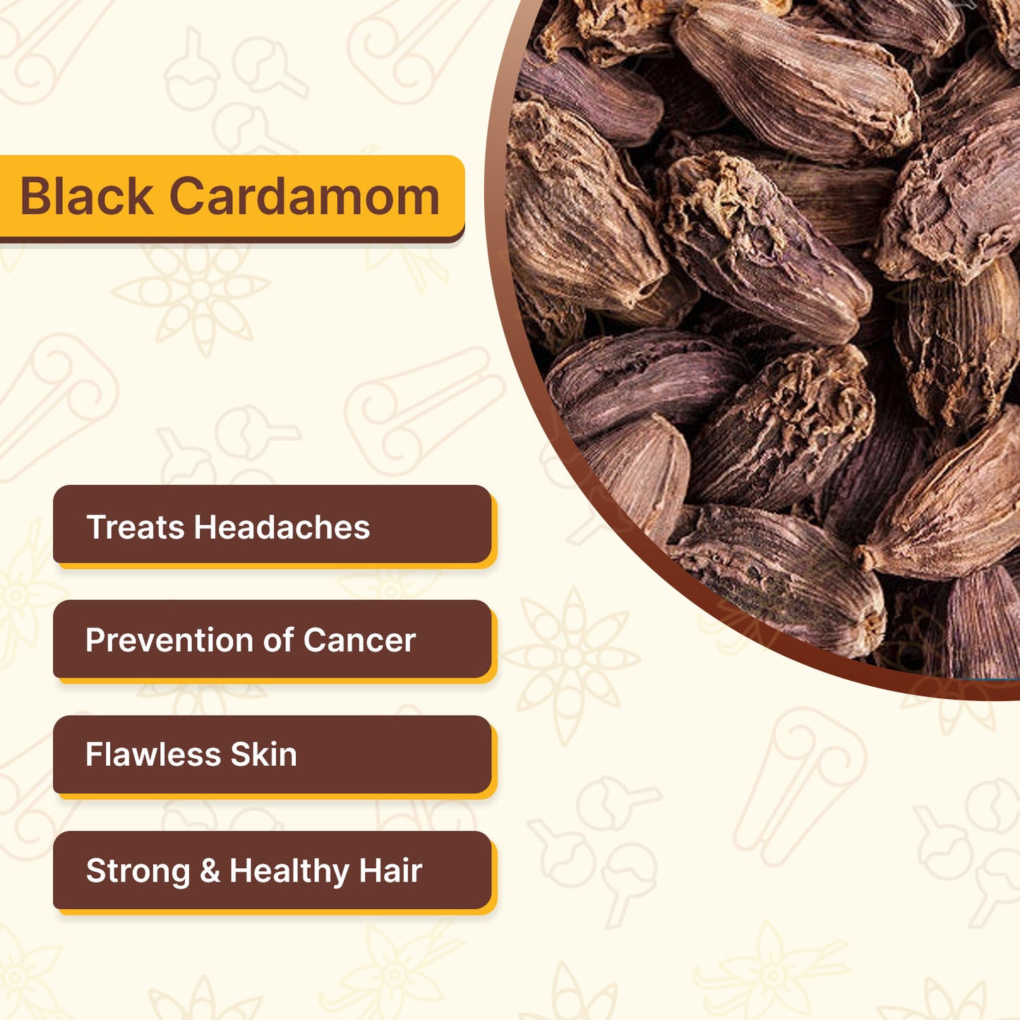 Organically Grown Black Cardamom (Badi Elaichi) | Kerala (Idduki) | Premium Export Quality