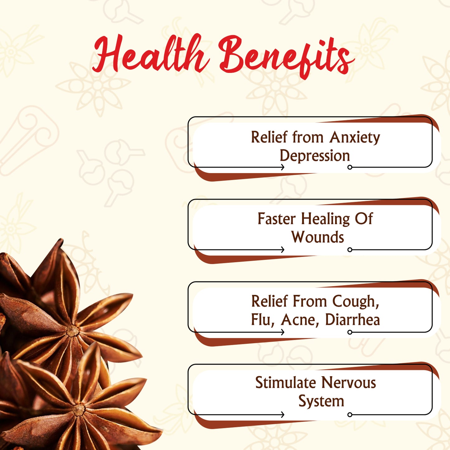 Organically Grown Star Anise (Chakra Phool) | Premium Export Quality and Natural Flavor